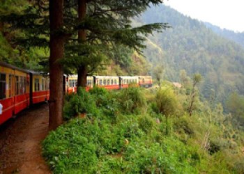 Shimla 